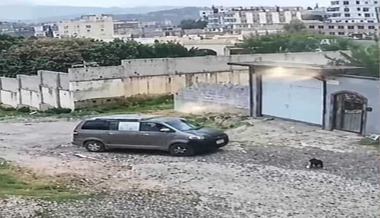 حادثة دهس تنهي حياة طفل وتثير الحزن في إب