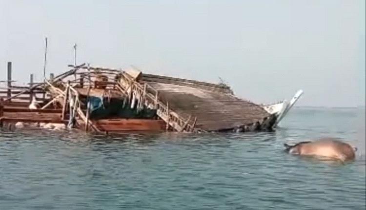 لحج: غرق سفينة قادمة من الصومال محمّلة بالمواشي