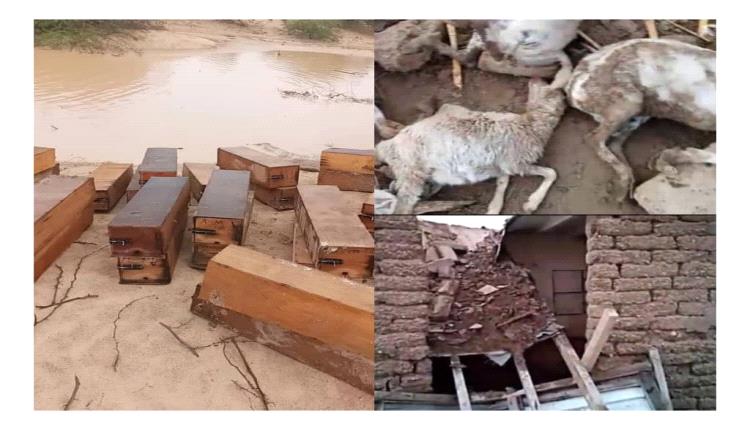 مدير مكتب الزراعة والري في دلتا أحور ينفذ نزولاً ميدانياً لحصر أض..