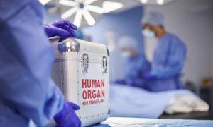 إنجاز صيني قد يحدث تحولا مذهلا في مجال زراعة الأعضاء