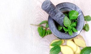 النعناع أم الزنجبيل.. أيهما أفضل لصحة جهازك الهضمي؟