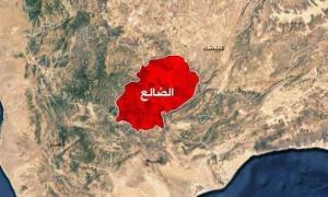 هجو_م مسلح يصيب نازحًا في قعطبة شمالي الضالع"صورة"