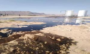 حين تتحول ثروات الجنوب إلى مكافآت .. من يملك القرار ومن يدفع الثمن؟