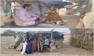 أضطرتهم الظروف للعيش في عشش :"قمر" تحلم ببيت يأويها وأولادها ويحميها من عوامل التعرية ..!!