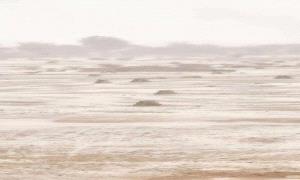 أمطار غزيرة وسيول جارفة تجتاح محافظة شبوة 