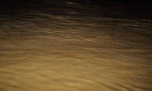 سيول مفاجئة تقطع الطريق الدولي في وادي أحور وتوقف حركة المركبات