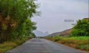 توتر أمني في زنجبار بعد منع قوات تابعة لأبو زرعة المحرمي من دخول المدينة

