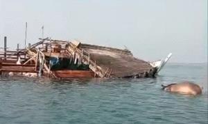لحج: غرق سفينة قادمة من الصومال محمّلة بالمواشي