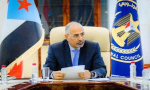 حضور الرئيس الزبيدي.. رمزية لسيادية وحائط صد منيع أمام محاولات التفكيك