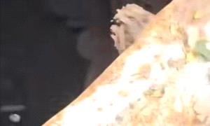 بعد يومين من الاختفاء .. العثور على جثـ,ـتي طفلين شقيقين داخل بئر مكشوفة في هذه المحافظة!