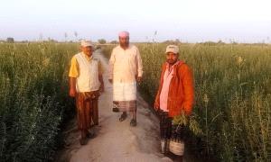 مدير مكتب الزراعة والري بأحور يستنكر الاعتداء على الدكتور محمد سالم الخاشعة