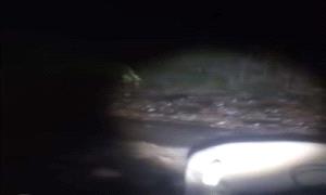 عاجل:سيول جارفة تقترب من عدن