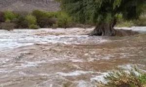 حضرموت تغرق تحت وطأة الأمطار الغزيرة.. والسلطات المحلية تكتفي بتحذير السكان!