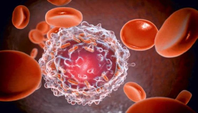 خلايا الـ.ـدم الحمراء تتحول لمحاربة السرطان بتقنية صينية مبتكرة
