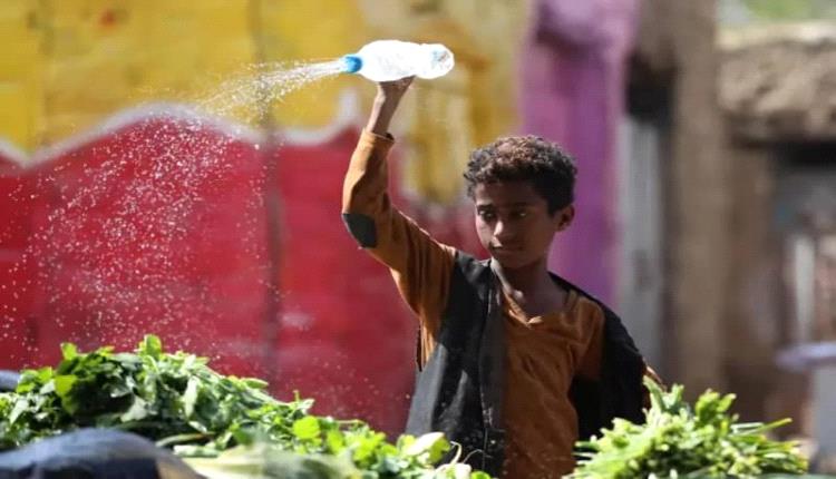 اليمن في مواجهة أزمة مركبة.. جوع متصاعد واقتصاد منهار