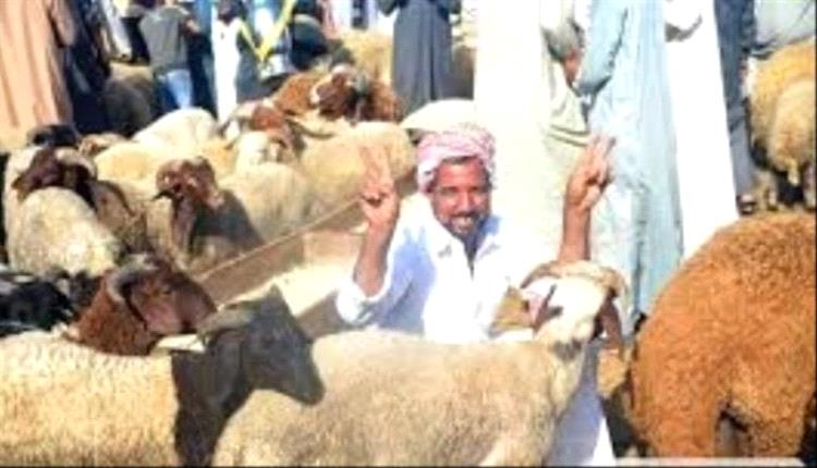 عندما تصبح الأضحية “ترفاً”.. الغلاء يشل فرحة العيد في اليمن