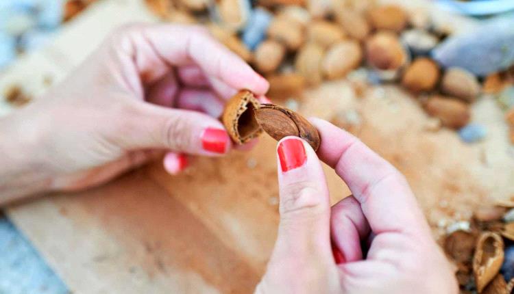 هل يجب تناول اللوز بقشره؟.. الخبراء يكشفون الفوائد و المحاذير