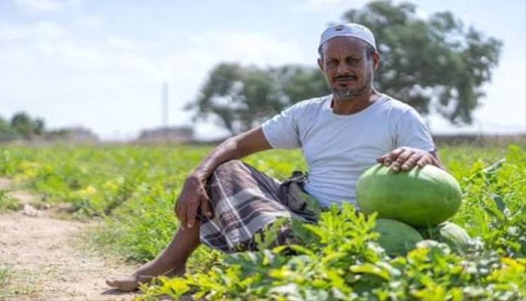 رفع أسعار الديزل في اليمن.. محنة جديدة ترهق المزارع والمستهلك