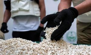 الكشف عن مصنع حو.ثي للكبتاجـ.ـون في صعدة بإشراف قيادي إيـ.ـراني