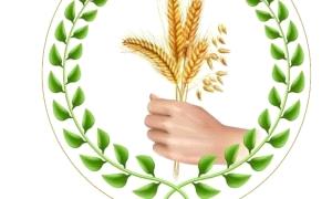 منظمات المجتمع المدني بحضرموت تدعو للاحتشاد في “مليونية تجديد التفويض” بالمكلا غداً الثلاثاء.