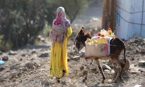 أزمة مياه مفتعلة في إب.. المواطن يدفع والقيادات الحو.ثية تجني الأرباح