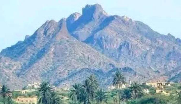لماذا تمنع سلطات الوصاية السعودية المال والسلاح عن جبهات الجنوب المرابطة في الميدان