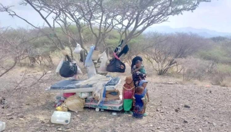 1800 طلب بحث عن مفقودين في اليمن منذ استئناف القتـ.ـال