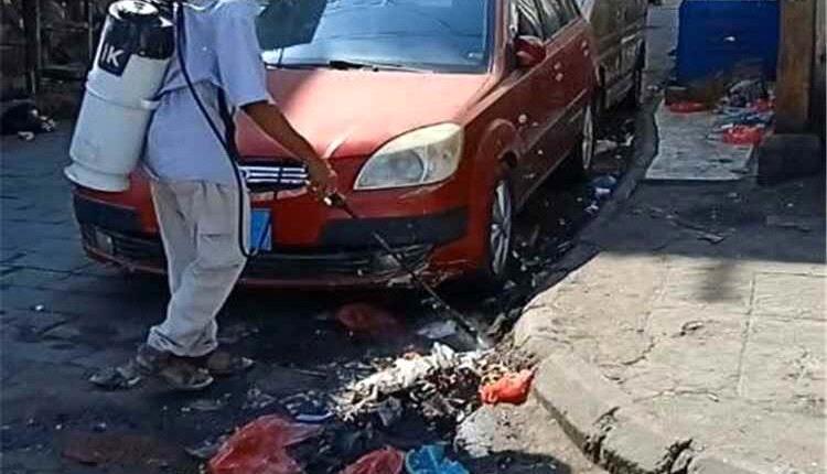 التواهي تدشن حملة رش لمكافحة الحشرات الناقلة للأمراض