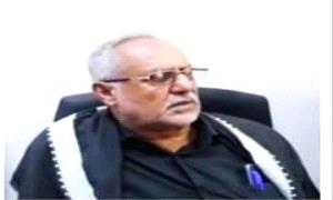 شجرة البُن في يافع يهر: ثروة تاريخية تواجه الهلاك فمن ينقذها