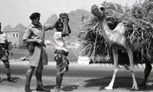 14 أكتوبر المجيد.. ثورة رجال لا ثورة غنائم