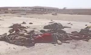 منظمات المجتمع المدني تطالب بتحقيق دولي في مجزرة شبوة وملاحقة قيادات الحو.ثي