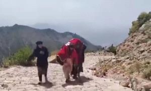 صورة مؤلمة من تعز.. أم تحمل جثمان ابنتها الشهيدة على ظهرها