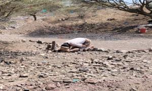الجباه السمراء لا تركع إلا لله
