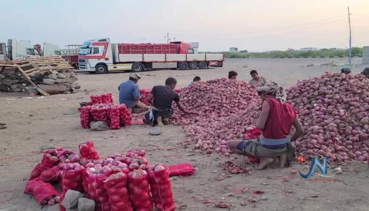 ارتفاع جنوني في أسعار البصل.. التصعيد الحو.ثي يخنق إنتاج الساحل الغربي