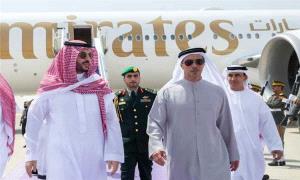 أكاديمي إماراتي يثير الجدل ويكشف عن ملفات ساخنة وراء زيارة الشيخ منصور بن زايد المفاجئة للسعودية!