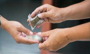 المـ.ـخدرات… خطر يهدد شبابنا وأمن مجتمعنا