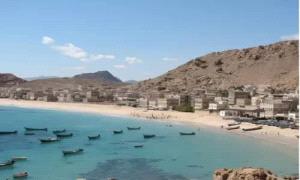 حضرموت.. اعتقال شبان في بروم عقب غارة أمريكية استهدفت قيادياً في القاعـ.ـدة 