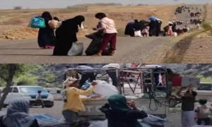 عدن وملف النزوح.. القضية الجنوبية أولا والإنسان في صلب العدالة.